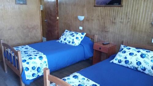Vicuna House | Hostal El Colibri