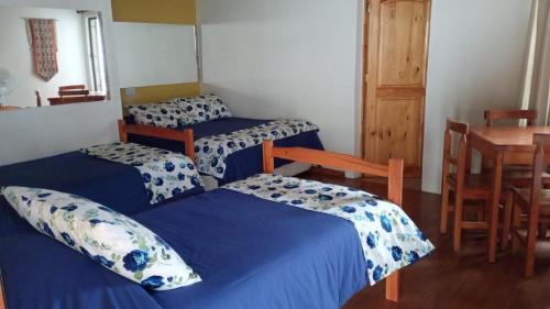 Vicuna House | Hostal El Colibri