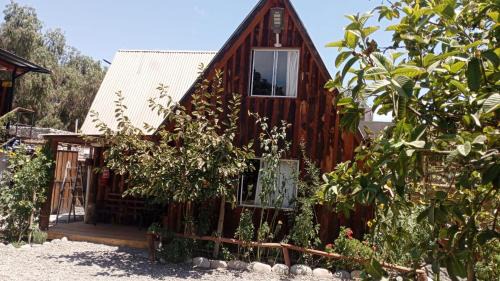 Vicuna House | Hostal El Colibri