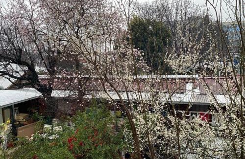 Angol House | Hostal Gina
