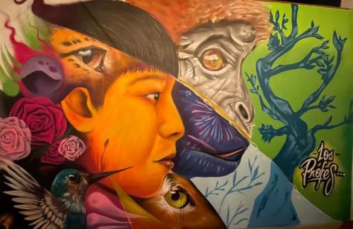 Mocoa House | Hostal los profes