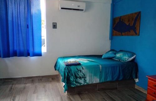 Sontecomapan House | Hostal