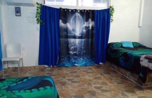 Sontecomapan House | Hostal