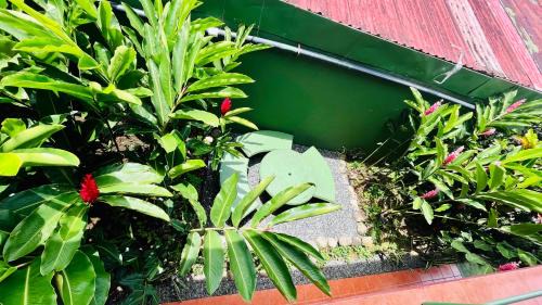 Nuevo Arenal Hotel | Hostal Nuevo Arenal downtown, private rooms with bathroom