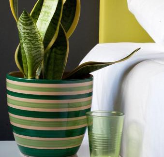 Colera House | Hostal Totsompops