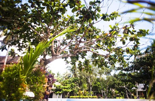 Donsol Hostel | Hostel ∙ 8 guests