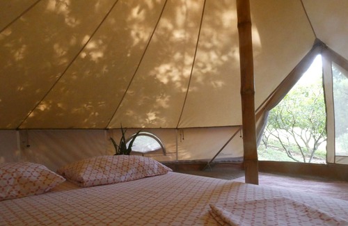 San Francisco de Coyote Bed & Breakfast | Hostel & Camping Alouatta