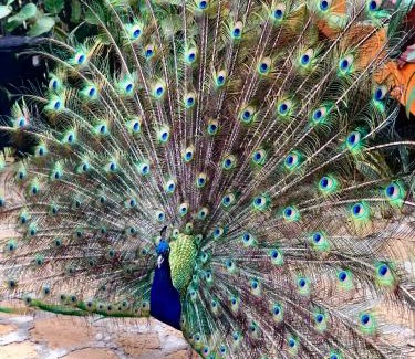 Salinas Cabin | Hostería Ecológica El Faro