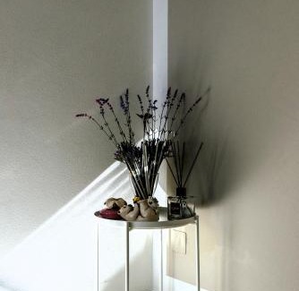 Capannoli Apartment | Hostly - Giusy Garden Suite - Only for Holidays