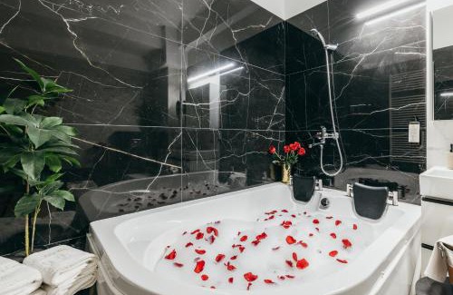 Tirgu Mures Hotel | HOTEL AGORA Mures