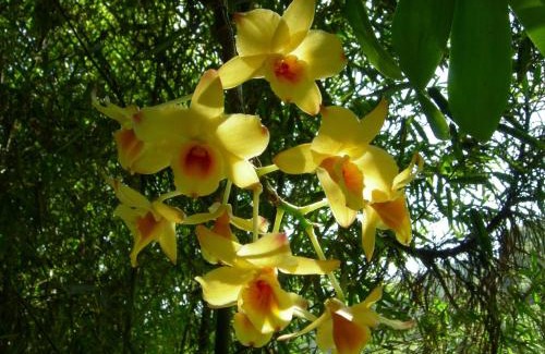 Mury Hotel | Hotel Akaskay