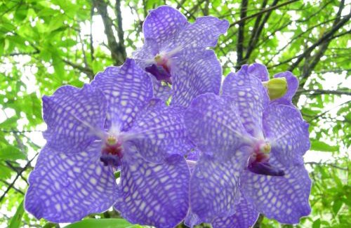 Mury Hotel | Hotel Akaskay