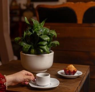 Zitacuaro Hotel | Hotel-Boutique La Casa De Los Recuerdos
