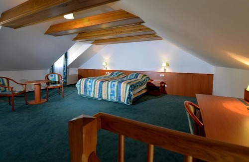 Ceske Budejovice Hotel | Hotel Dvorak