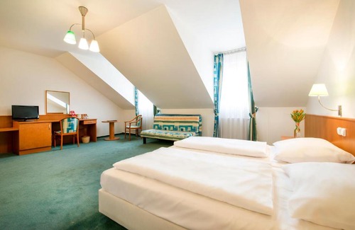 Ceske Budejovice Hotel | Hotel Dvorak