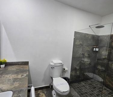 Alvaro Obregon Hotel | Hotel Ejecutivo Aeropuerto