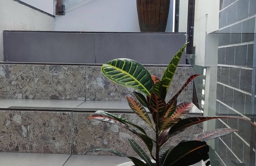 Conceicao Do Coite Apartment | HOTEL GALICIA