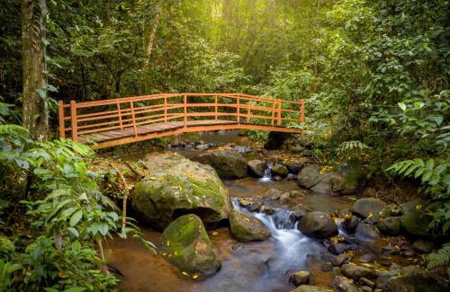 Penas Blancas Hotel | Hotel Heliconias Nature Inn & Hot Springs