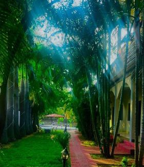 Tala Hotel | Hotel Jungle Palace Resort