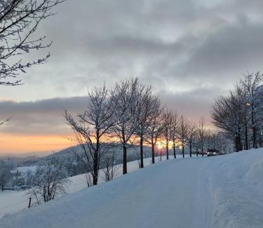 Kraliky House | Hotel Kačenka
