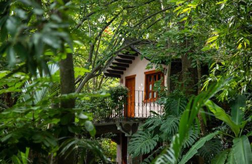 Zacaulpan de Amilpas Hotel | Hotel La Casa de los Árboles Immersive Experience