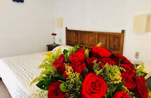 San Jose Iturbide Hotel | Hotel La Mansión