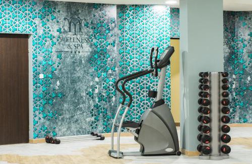 Baia Mare Hotel | Hotel Mara