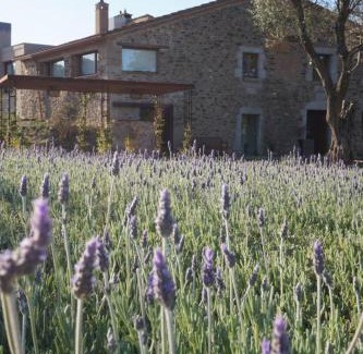 Vall-Llobrega Hotel | Hotel Mas del Sol