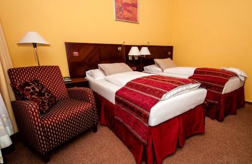 Bor u Tachova Hotel | Hotel Merica Bor