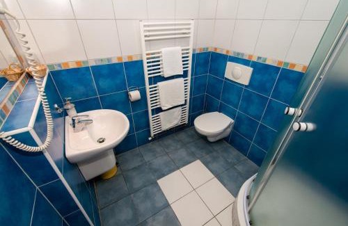 Bor u Tachova Hotel | Hotel Merica Bor