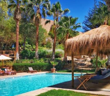 Pisco Elqui Bed & Breakfast | Hotel Misterios del Elqui