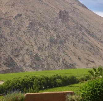 Pisco Elqui Bed & Breakfast | Hotel Misterios del Elqui