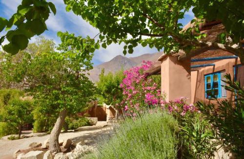 Pisco Elqui Bed & Breakfast | Hotel Misterios del Elqui