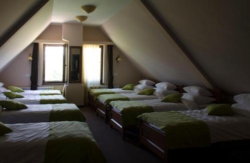Cetinje Hotel | Hotel Monte Rosa