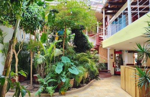 Del Cerrillo Hotel | Hotel Barrio Antiguo