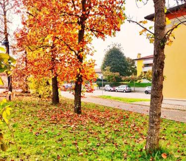 Cordenons Hotel | Hotel Naonis