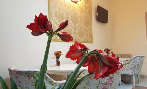 Baia Mare Hotel | Hotel New