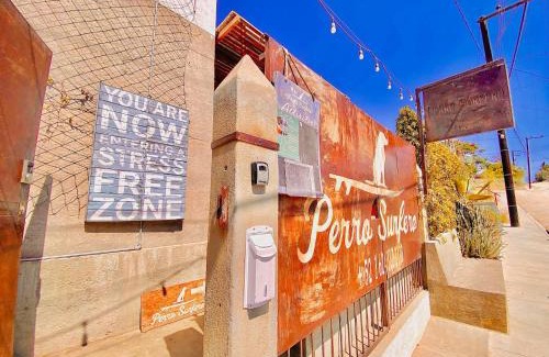 Todos Santos Hotel | Hotel Perro Surfero Todos Santos