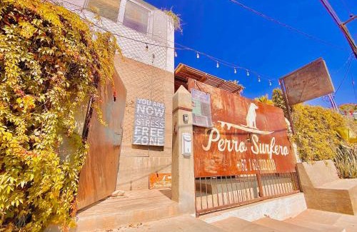 Todos Santos Hotel | Hotel Perro Surfero Todos Santos