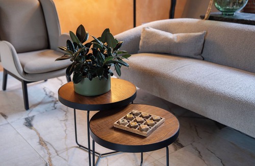 La Joya Hotel | Hotel Pinar Dorado by Gran Jimenoa