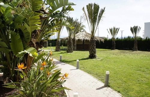 Oliva Apartment | Hotel Playa Oliva
