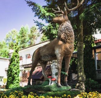 Swieradow-Zdroj Hotel | Hotel Pod Jeleniem