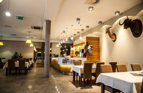 Kozmin Wielkopolski Hotel | Hotel Pod Szyszkami