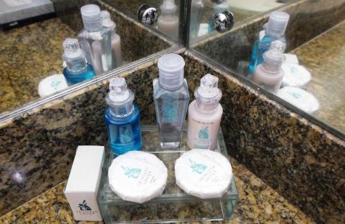 Campina Hotel | Hotel Princesa Louçã