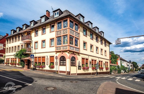 Mainz-Bingen Hotel | Hotel Rüdesheimer Hof