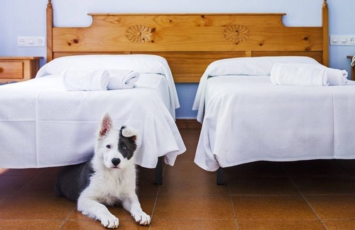 Tordesillas Hotel | Hotel Real de Castilla