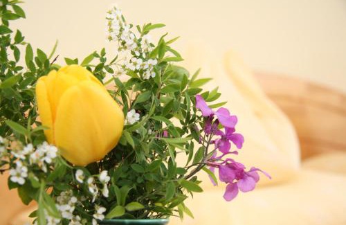 Fuschl am See Hotel | Hotel-Restaurant Stefanihof