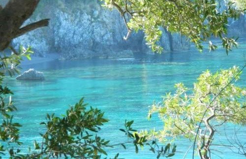 Marina di Maratea Hotel | Hotel Ristorante Borgo La Tana