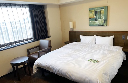 Hikone Hotel | Hotel Route Inn Hikone