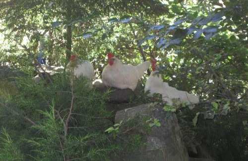 Cercedilla Hotel | Hotel Rural Los Frutales